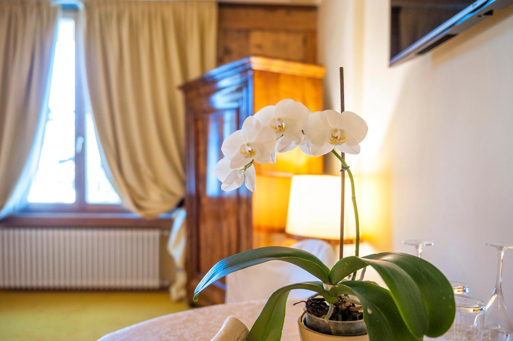 Villa Orso Grigio Ronzone Eksteriør billede